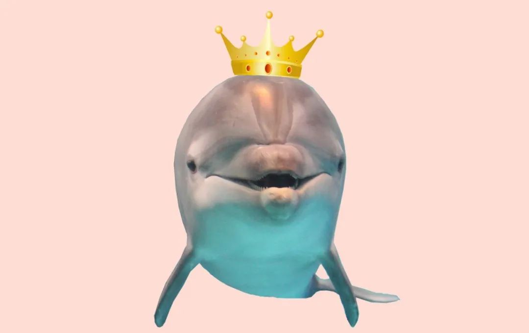 DƬ